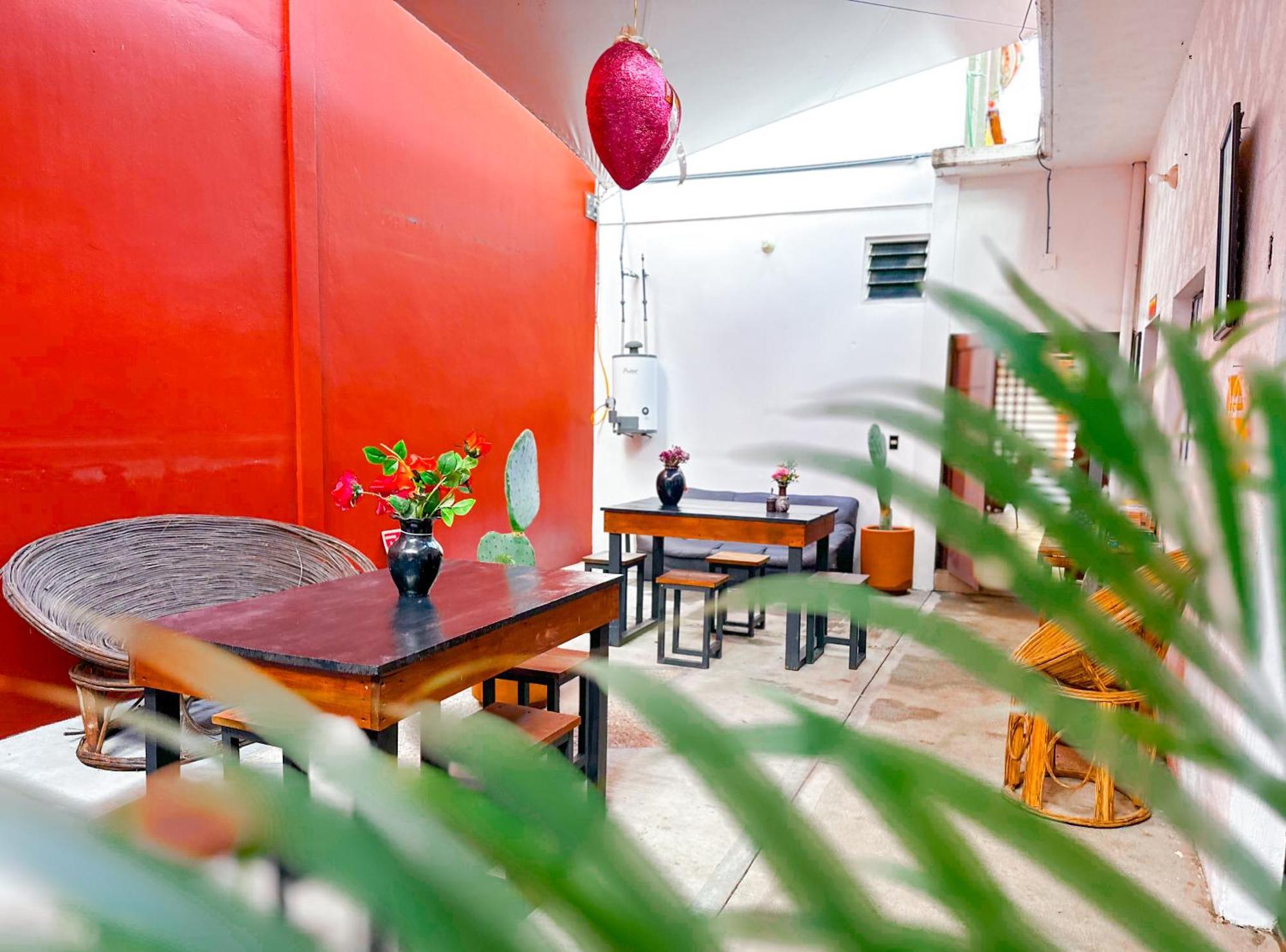 Habitacionez Hvuz Oaxaca Екстериор снимка