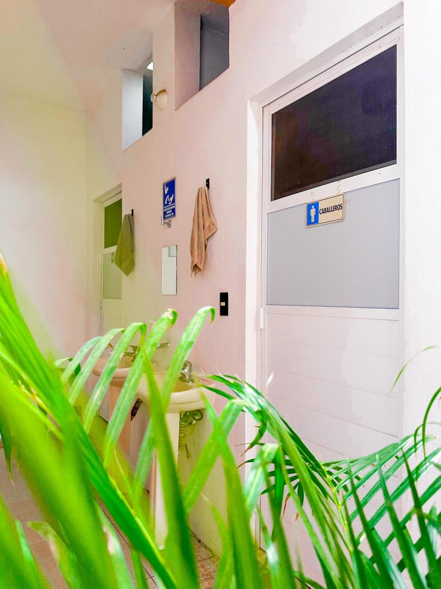 Habitacionez Hvuz Oaxaca Екстериор снимка