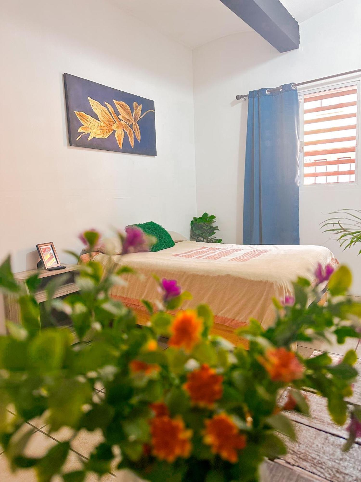 Habitacionez Hvuz Oaxaca Екстериор снимка