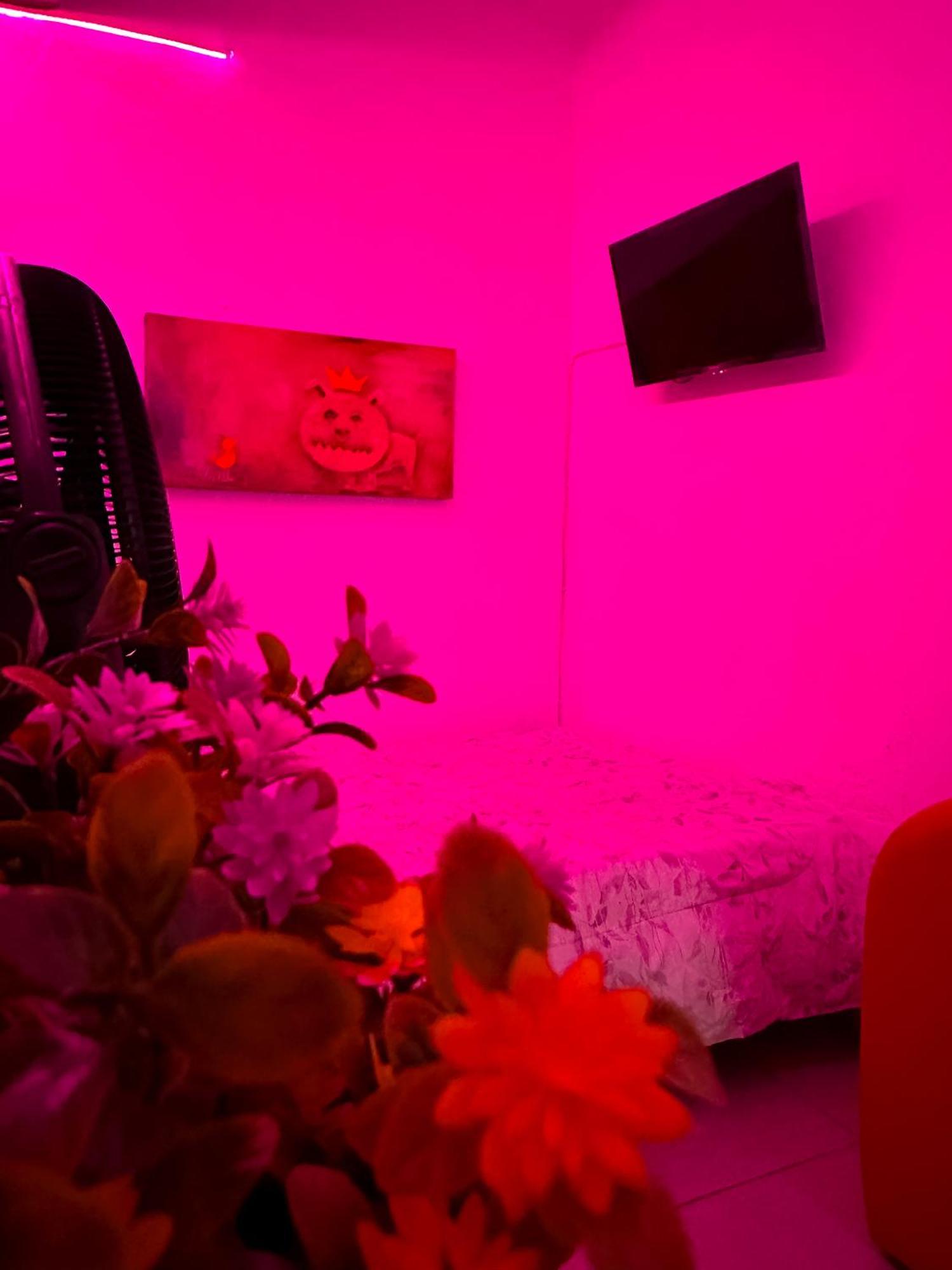 Habitacionez Hvuz Oaxaca Екстериор снимка
